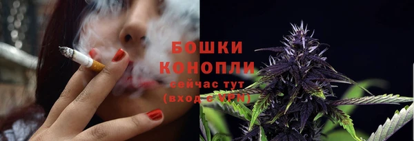 прущие крисы Няндома