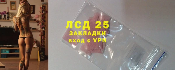 СК Новозыбков