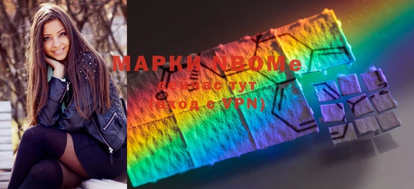 СК Новозыбков