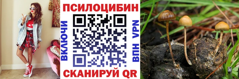 Галлюциногенные грибы GOLDEN TEACHER  кракен зеркало  Полысаево  где купить наркоту 