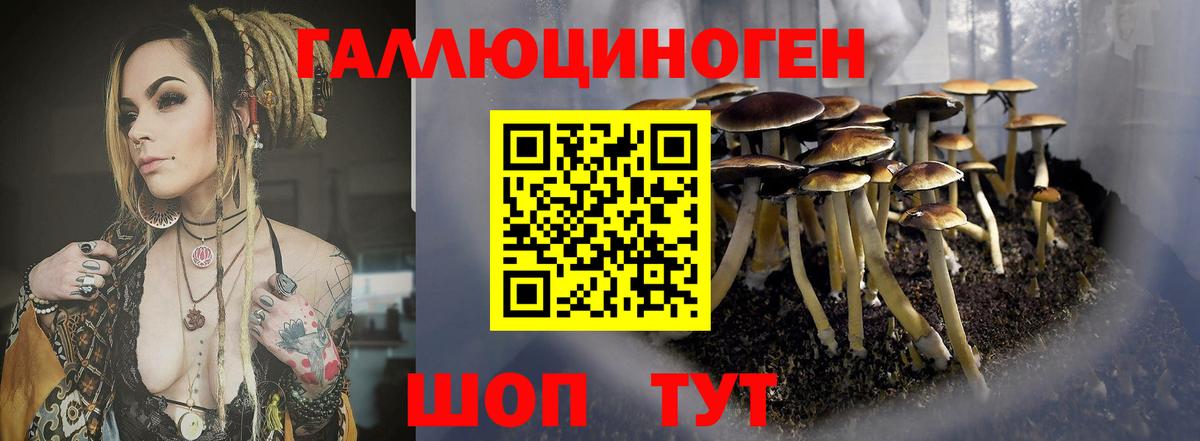 где купить наркоту  Полысаево  Псилоцибиновые грибы GOLDEN TEACHER  Галлюциногенные грибы мицелий 