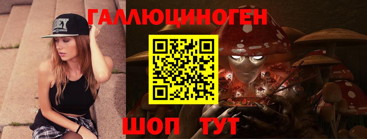 Псилоцибиновые грибы Psilocybine cubensis Полысаево